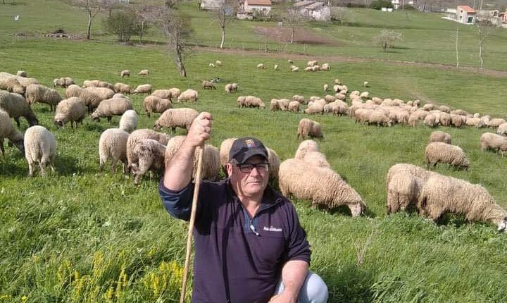 Pastore-pecore-2021